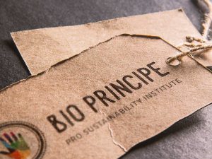 Nave16 | Bio Principe | Branding