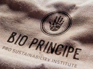 Nave16 | Bio Principe | Branding